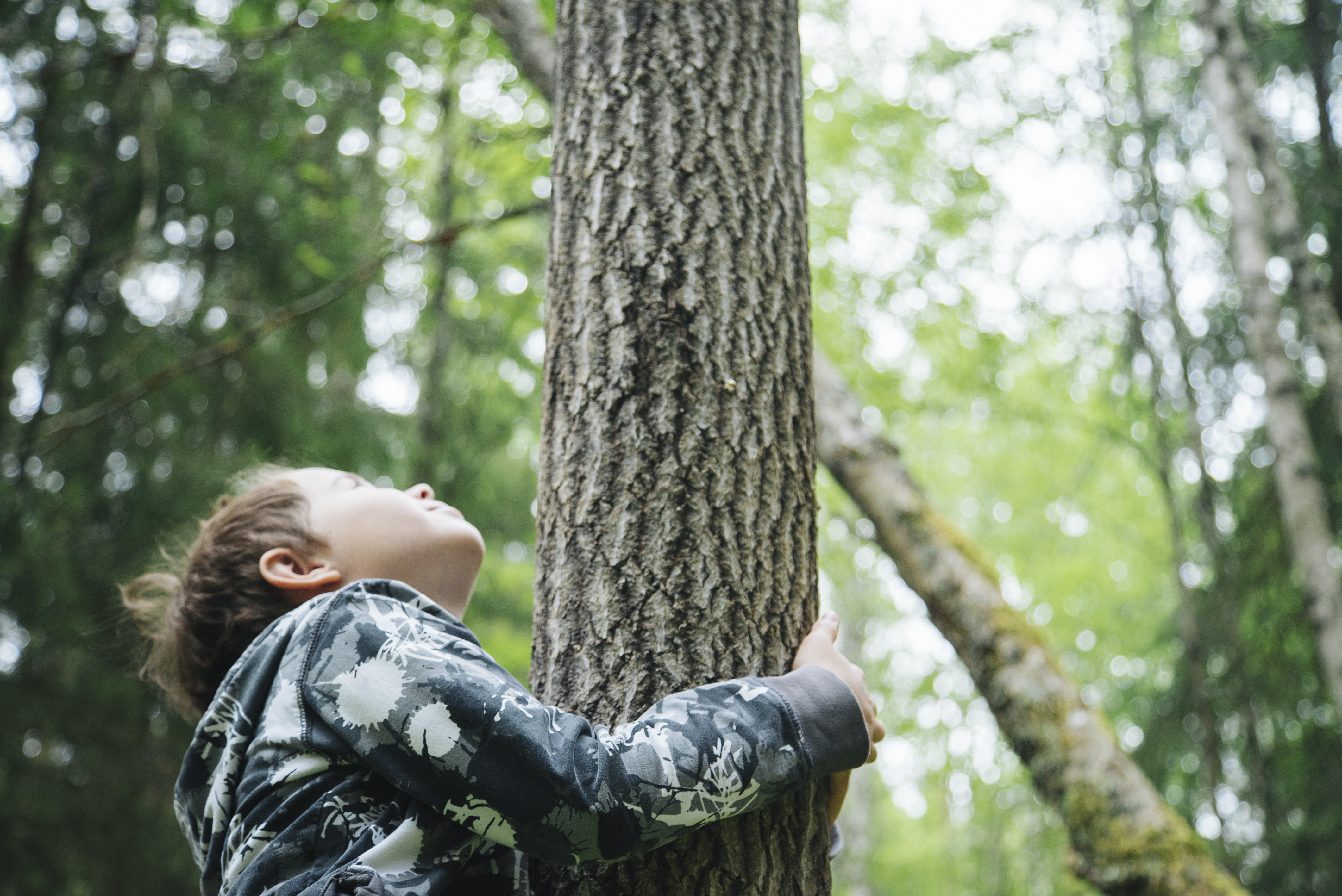 boy in a forest.jpg